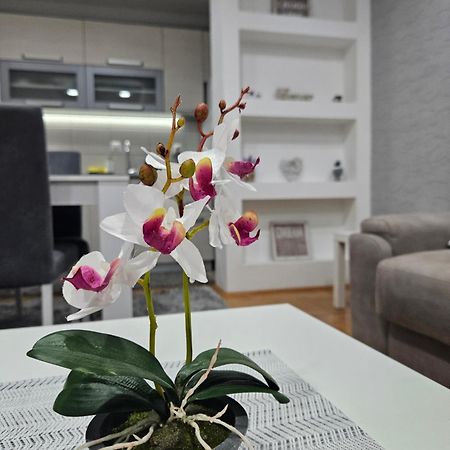 Apartman Vukota Pirot Ngoại thất bức ảnh